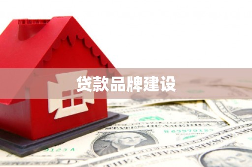 达日贷款品牌建设