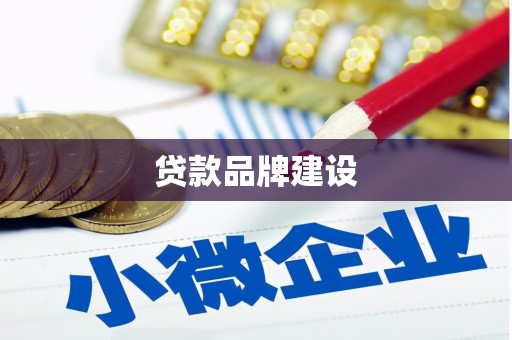 达日贷款品牌建设