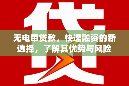 达日无电审贷款，快速融资的新选择，了解其优势与风险