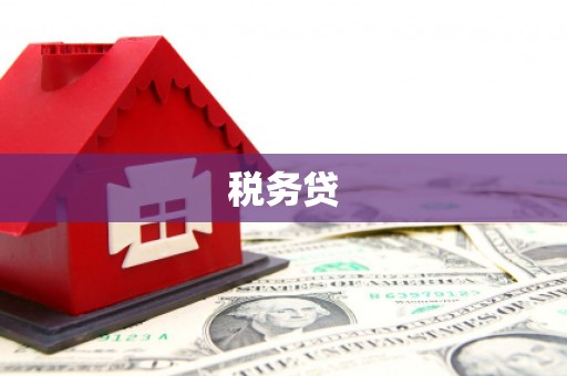 达日税务贷