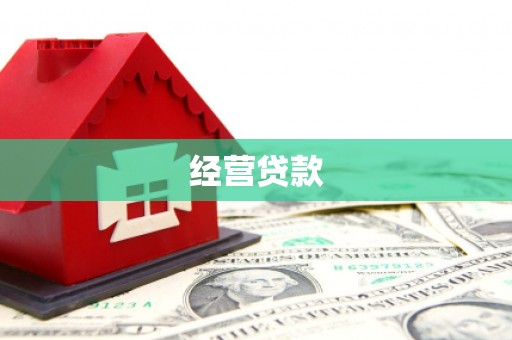 达日经营贷款