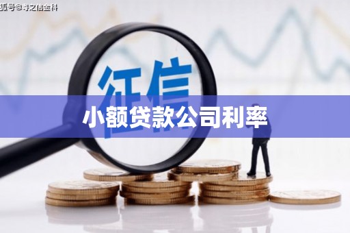 达日小额贷款公司利率