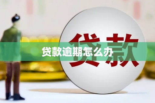 达日贷款逾期怎么办