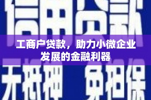 达日工商户贷款，助力小微企业发展的金融利器