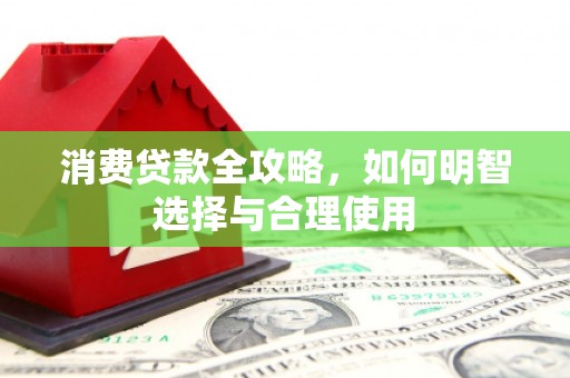达日消费贷款全攻略，如何明智选择与合理使用