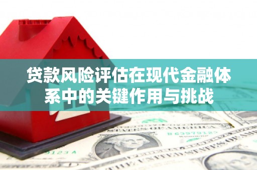 达日贷款风险评估在现代金融体系中的关键作用与挑战