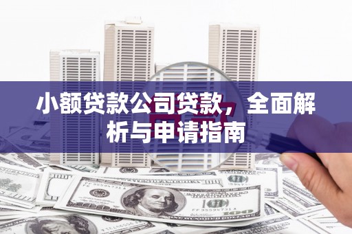 达日小额贷款公司贷款，全面解析与申请指南