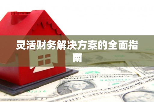 达日灵活财务解决方案的全面指南