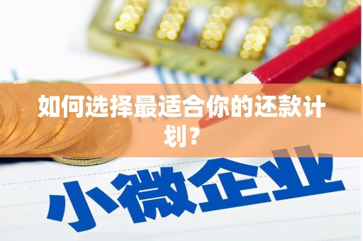 达日如何选择最适合你的还款计划？