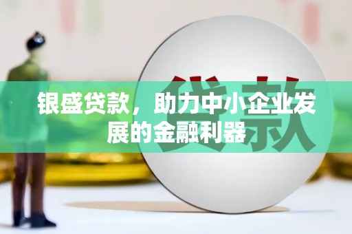 达日银盛贷款，助力中小企业发展的金融利器