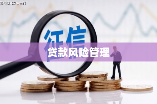 达日贷款风险管理