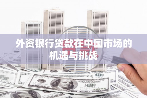 达日外资银行贷款在中国市场的机遇与挑战