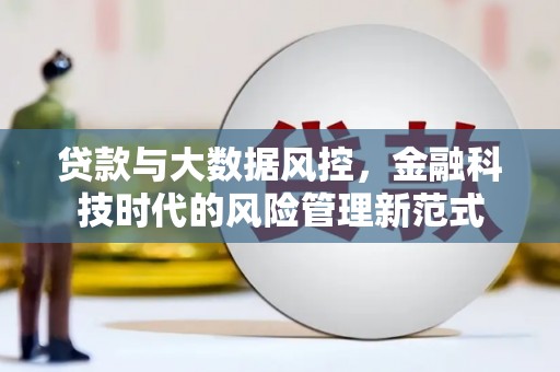 达日贷款与大数据风控，金融科技时代的风险管理新范式