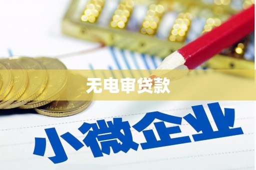 达日无电审贷款