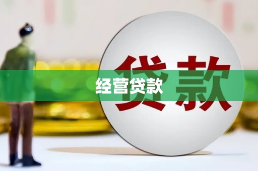 达日经营贷款