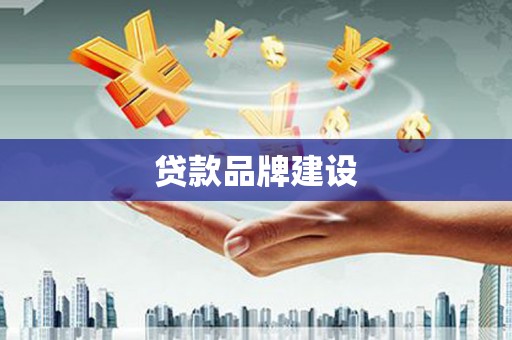 达日贷款品牌建设
