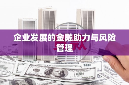 达日企业发展的金融助力与风险管理