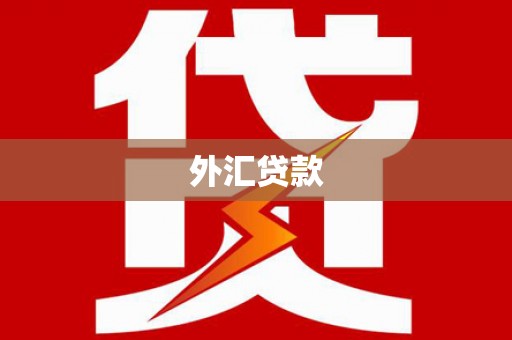 达日外汇贷款