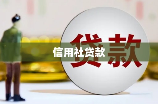 达日信用社贷款