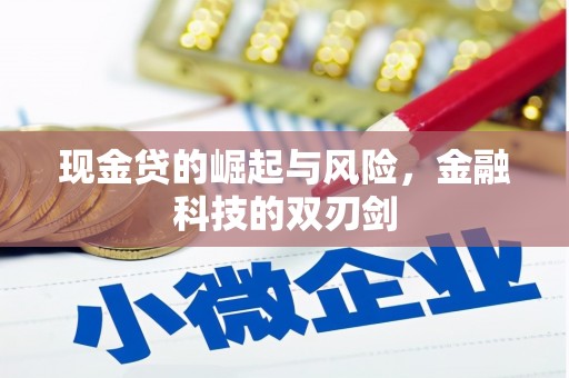达日现金贷的崛起与风险，金融科技的双刃剑