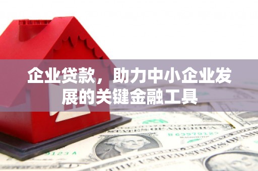 达日企业贷款，助力中小企业发展的关键金融工具