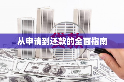 达日从申请到还款的全面指南