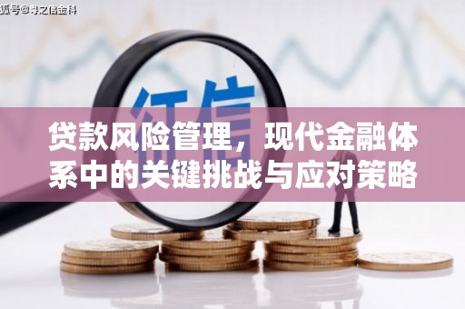 达日贷款风险管理，现代金融体系中的关键挑战与应对策略