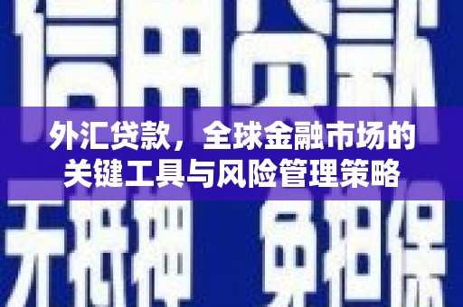 达日外汇贷款，全球金融市场的关键工具与风险管理策略