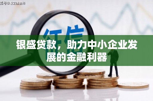 达日银盛贷款，助力中小企业发展的金融利器