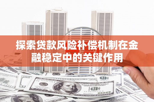 达日探索贷款风险补偿机制在金融稳定中的关键作用