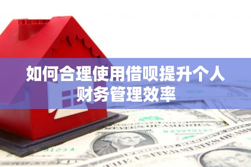 达日如何合理使用借呗提升个人财务管理效率