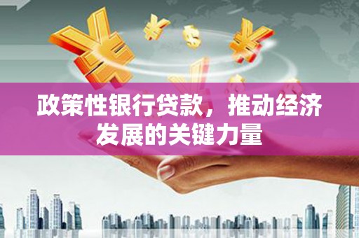 达日政策性银行贷款，推动经济发展的关键力量