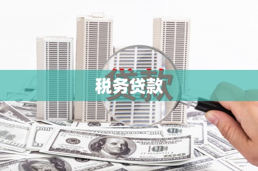 达日税务贷款