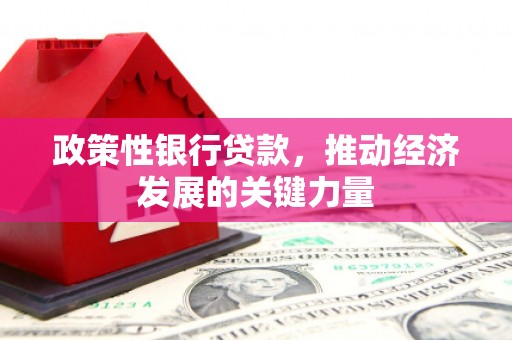 达日政策性银行贷款，推动经济发展的关键力量