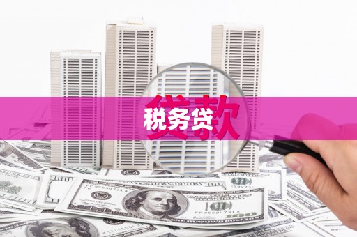 达日税务贷