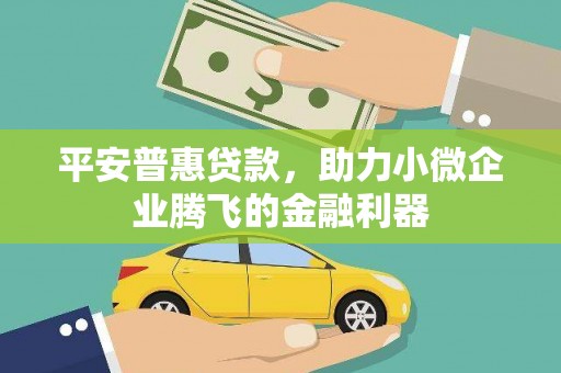 达日平安普惠贷款，助力小微企业腾飞的金融利器
