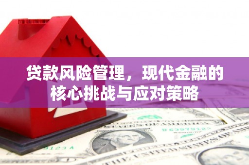 达日贷款风险管理，现代金融的核心挑战与应对策略