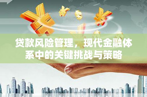 达日贷款风险管理，现代金融体系中的关键挑战与策略