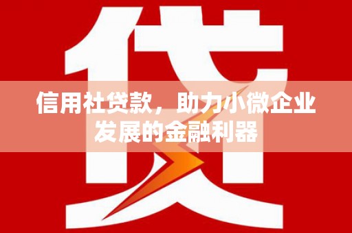 达日信用社贷款，助力小微企业发展的金融利器