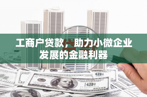 达日工商户贷款，助力小微企业发展的金融利器