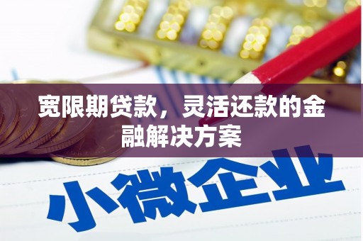 达日宽限期贷款，灵活还款的金融解决方案