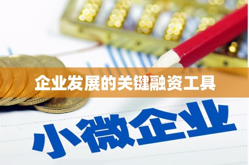 达日企业发展的关键融资工具