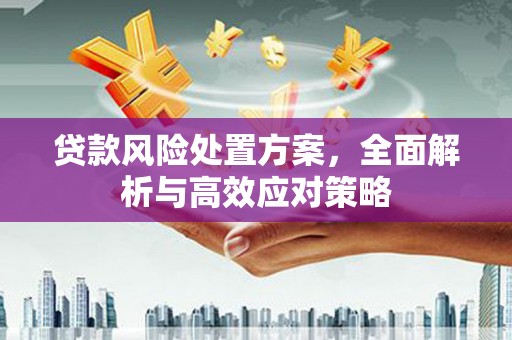 达日贷款风险处置方案，全面解析与高效应对策略