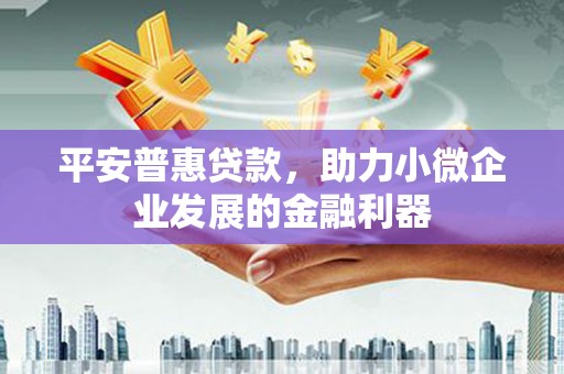 达日平安普惠贷款，助力小微企业发展的金融利器