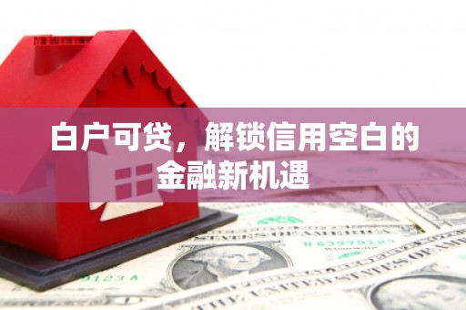 达日白户可贷，解锁信用空白的金融新机遇