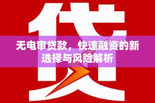 达日无电审贷款，快速融资的新选择与风险解析