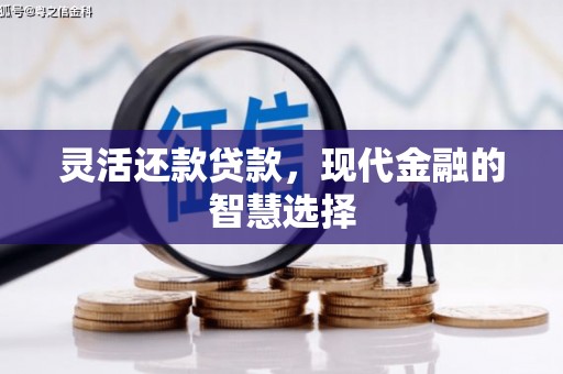 达日灵活还款贷款，现代金融的智慧选择