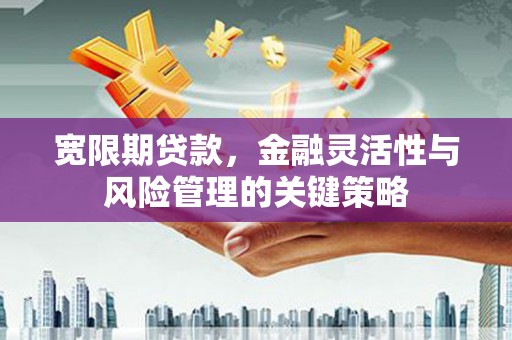 达日宽限期贷款，金融灵活性与风险管理的关键策略