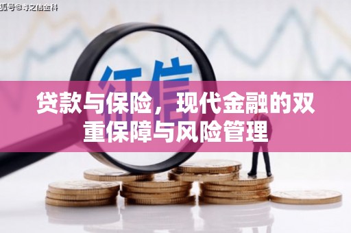 达日贷款与保险，现代金融的双重保障与风险管理