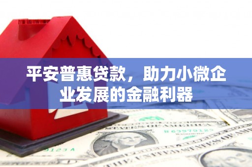达日平安普惠贷款，助力小微企业发展的金融利器